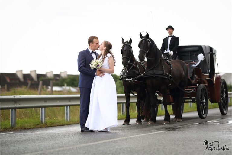 fotodalia, Dalia Padaigiene (338)